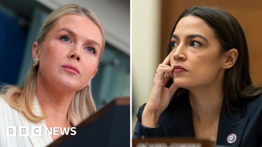 Leavitt and Ocasio-Cortez discuss family and career challenges