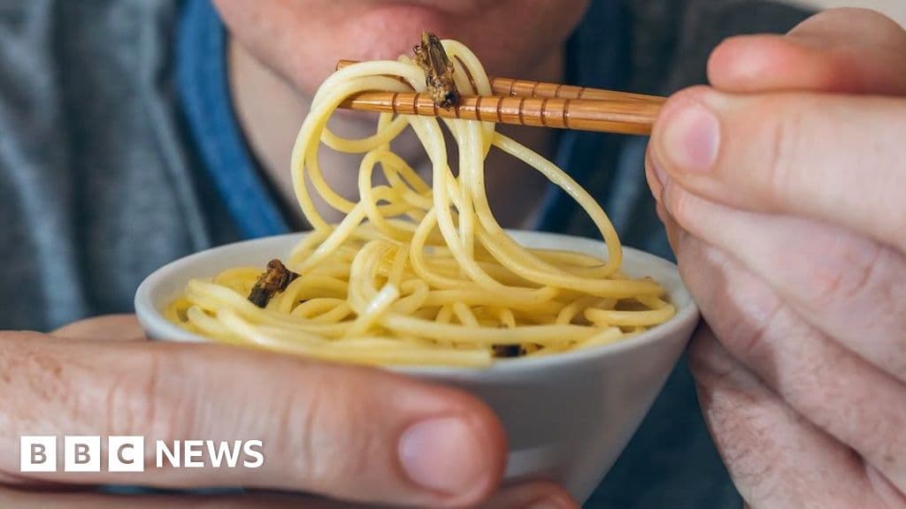 BBC News quiz: Creepy crawly dishes and legal risks