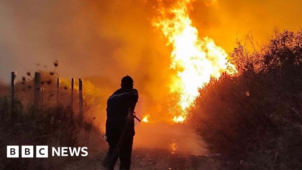 Algeria Fires: President Calls for Death Penalty