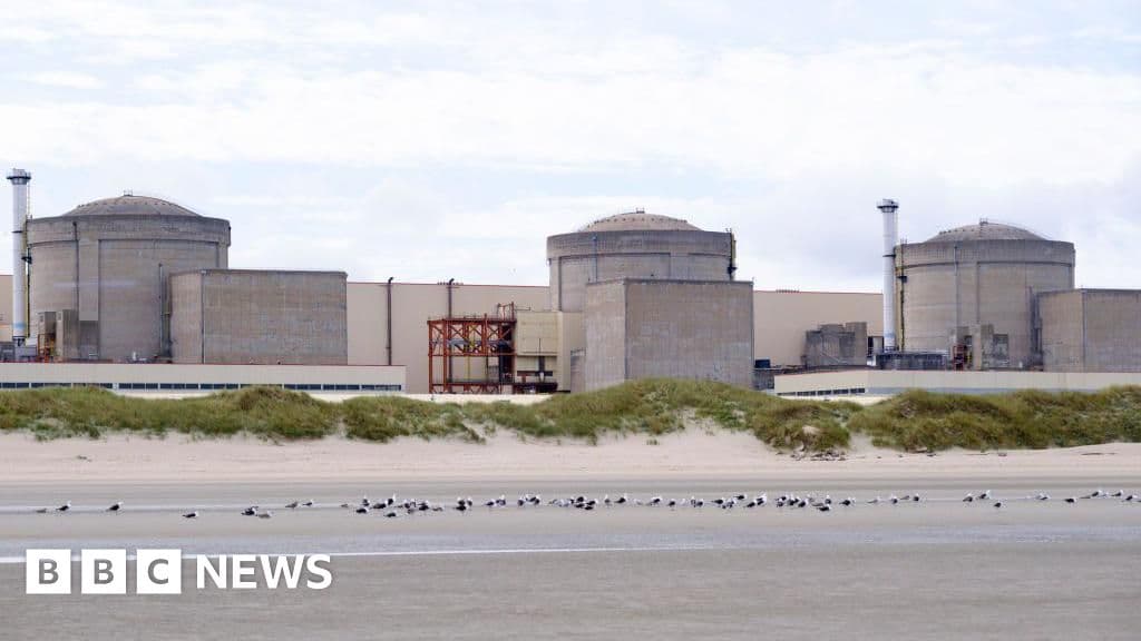 Jellyfish Halt France's Gravelines Plant
