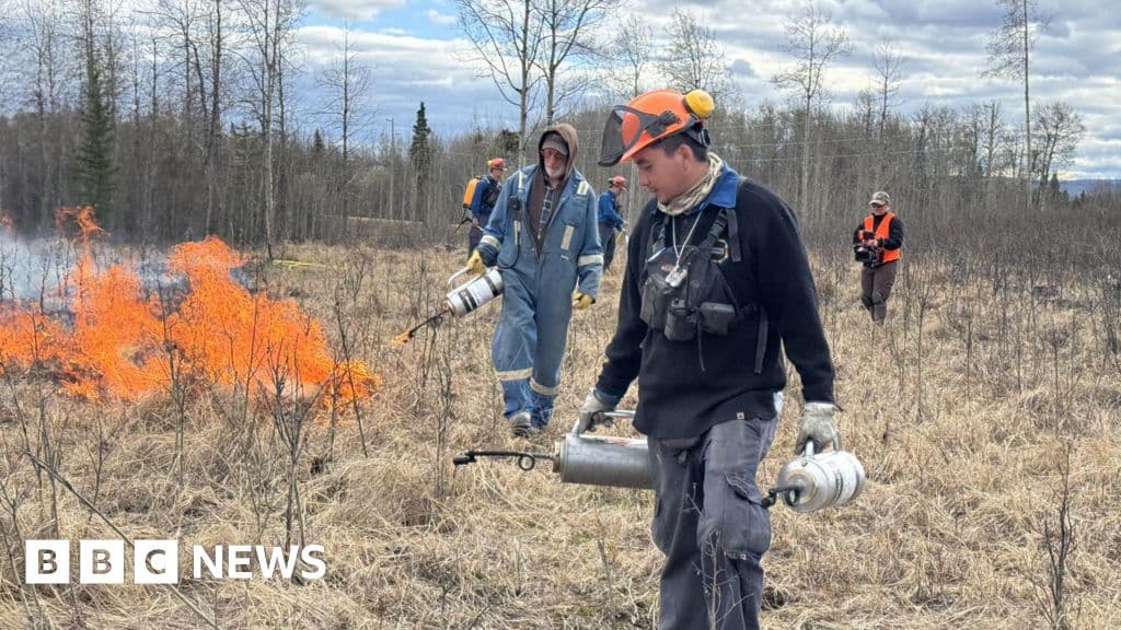 Canadians combat wildfires independently