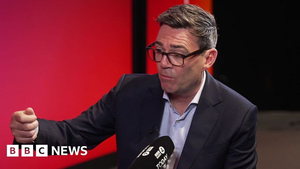 Andy Burnham on UK's EU re-entry options