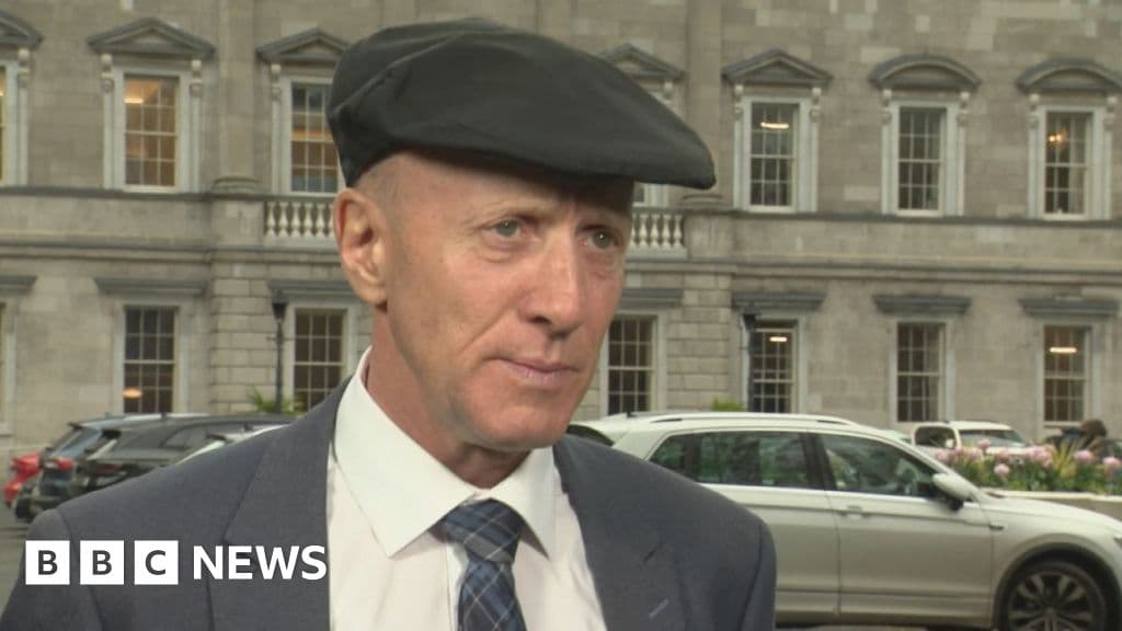 Michael Healy-Rae assaulted in Dublin