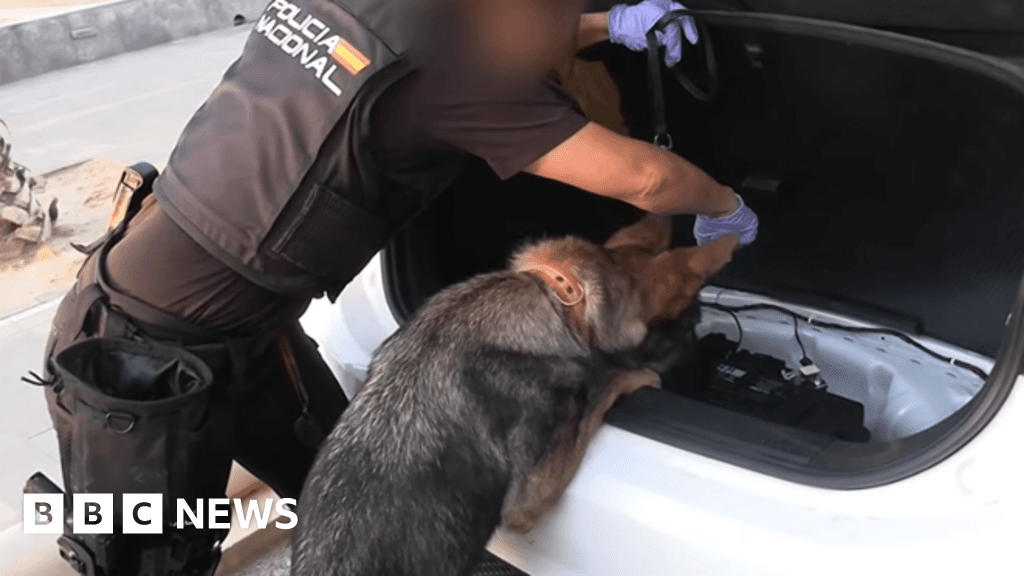 Spanish police dismantle major smuggling ring