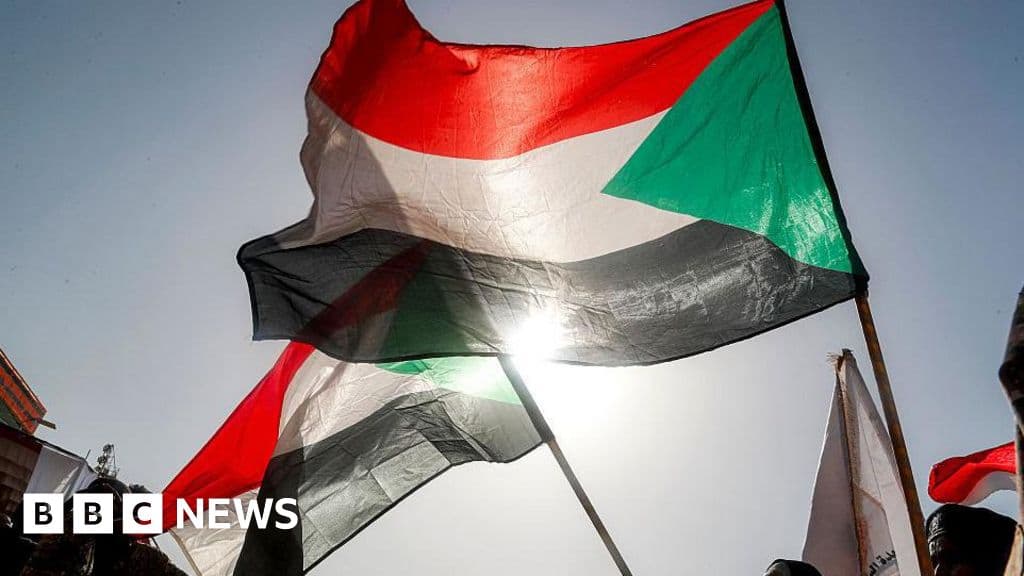 Sudan Darfur clash kills 35