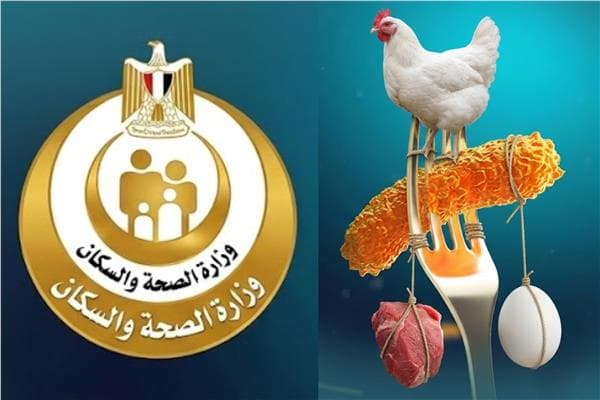 الصحة توضح أمر تفشي السالمونيلا في اللحوم
