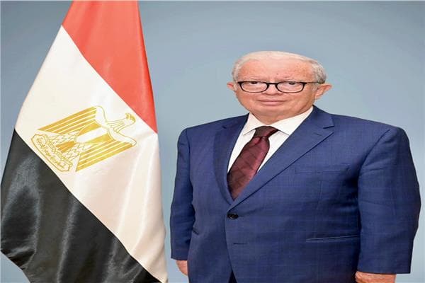 نائب رئيس الوزراء يعرض رؤية مصر الاقتصادية في شنغهاي