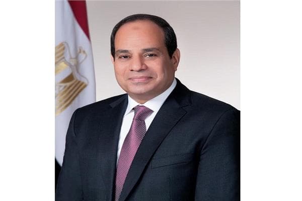 السيسي: مصر والصين تؤكدان على حل الصراعات سلميا