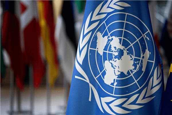 الأمم المتحدة: دخان حرائق الغابات يتسبب في وفيات سنوية