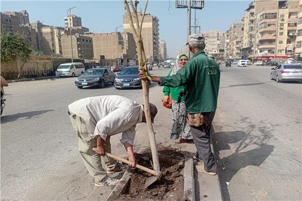الأنصاري يامر بتشجير الجيزة