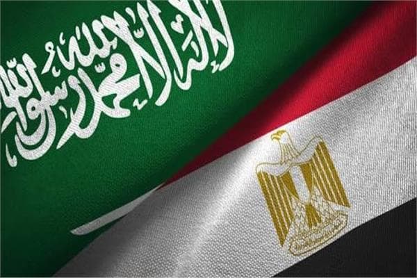 تعاون مصري سعودي في زمن التوترات