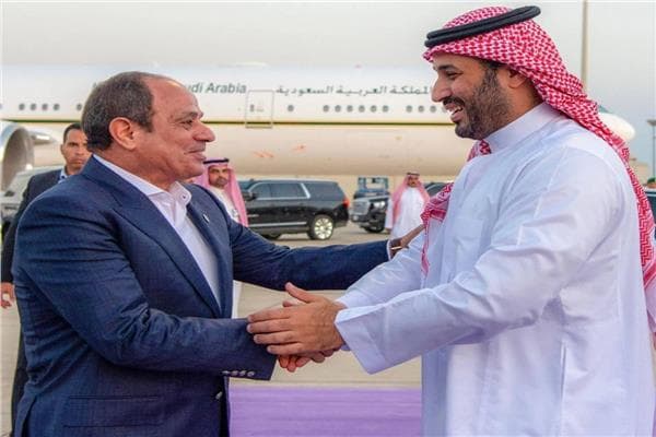 المنصة المصرية السعودية لتعزيز الأمن العربي