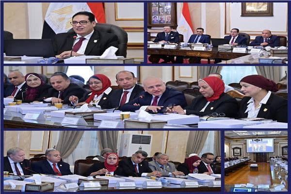 مجلس جامعة القاهرة يحدد الأولويات