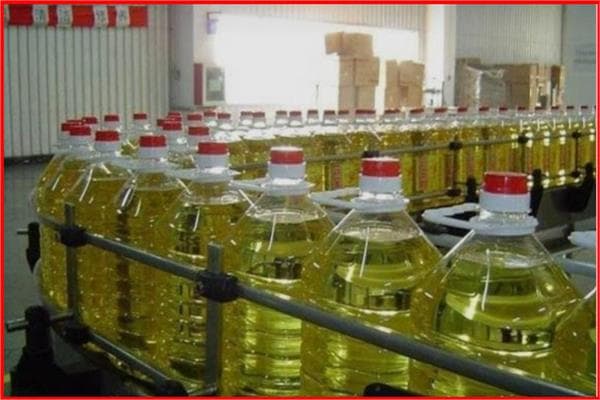 فرع رشيد يروي تاريخ كفر الزيات