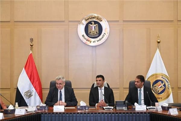 مصر تستقطب استثمارات في صناعة الإطارات والبطاريات
