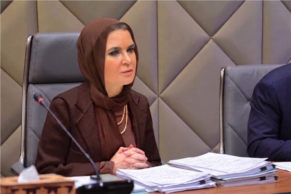 سحر نصر تؤكد أهمية المشاركة البرلمانية المبكرة