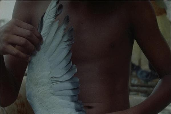 13 أفلام تنافس في مهرجان الجونة