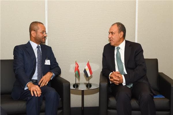 مصر وعمان يناقشان خفض التوتر في البحر الأحمر وهرمز