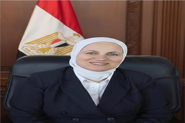 مدير تعليم القاهرة ينفي وجود حشرة البق في مدرسة السويس