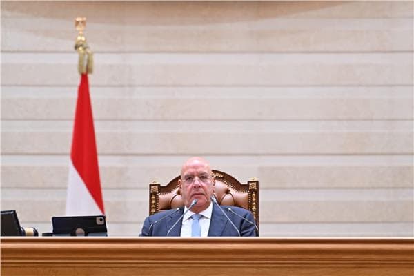 النواب يوافق على تأجيل تطبيق قانون الإجراءات حتى 2027