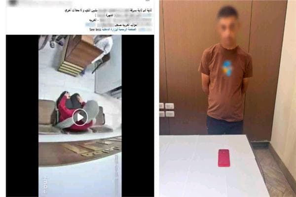 فيديو يفصل حادثة سرقة بمعمل منوفية