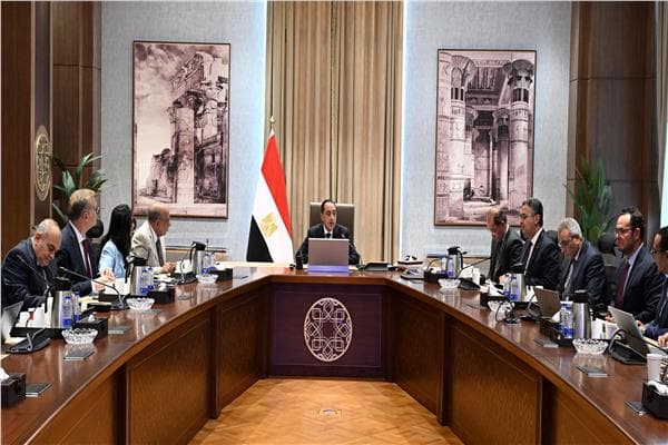 مدبولي يناقش مسيرة الطاقة المصرية وحماية المجتمع