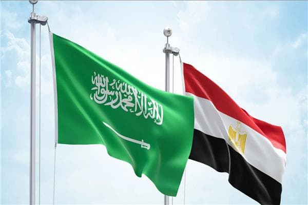 مصر تندد بمهاجمة محطة كهرباء بالمملكة