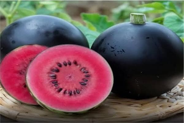 8 فواكه فاخرة بأسعار باهظة