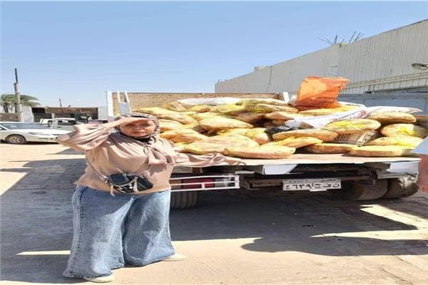 الزراعة تضبط 175 طنًا من اللحوم الفاسدة