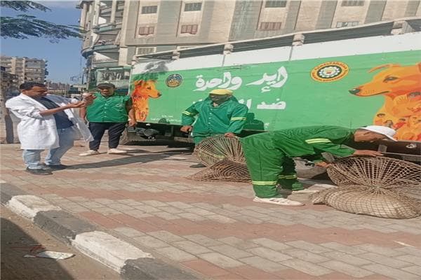 محافظ الدقهلية يواصل حملة الكلاب الضالة بالمنصورة
