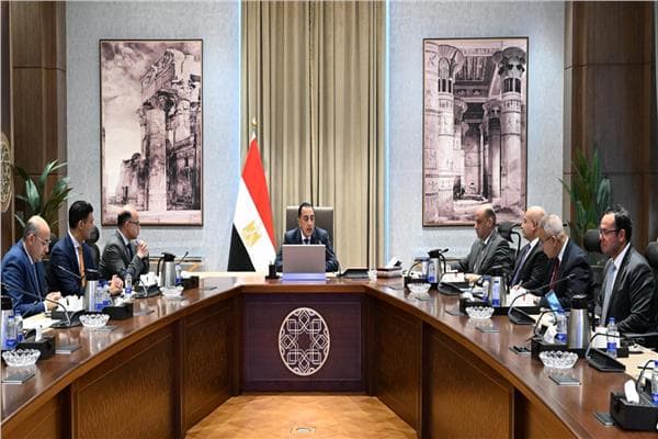 رئيس الوزراء يناقش استثمار وصناعة مصر 2026