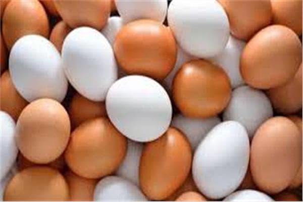 سعر البيض اليوم الجمعة 9 أكتوبر