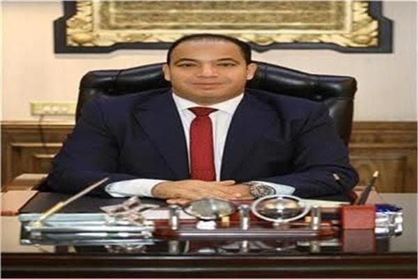 عبد المنعم السيد: تثبيت فيتش تصنيف مصر عند B يعكس قدرتها على مواجهة الأزمات