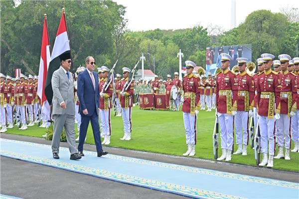 مصر وإندونيسيا تؤكدان الشراكة ودعم فلسطين