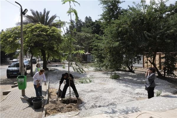 التنمية المحلية والزراعة تغرس 220 شجرة