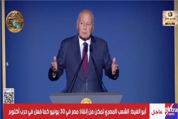 أبو الغيط: مصر تقترب من النمور الآسيوية