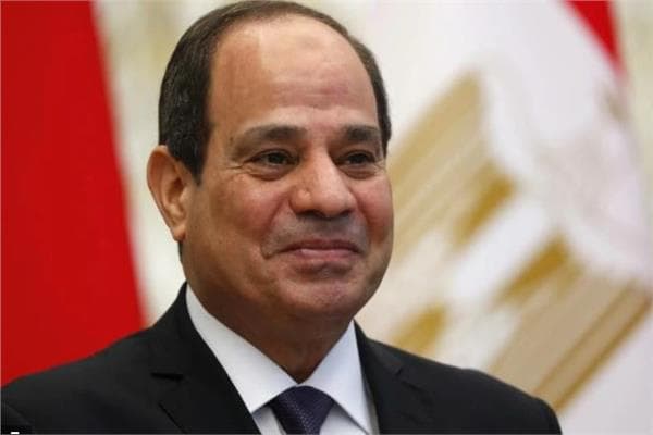 السيسي: الجيش والشرطة ضمان أمن مصر