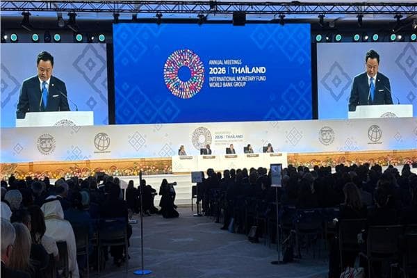 وزير الخارجية في جلسة المحافظة خلال اجتماعات النقد والبنك الدولية