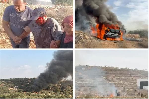 موسم الزيتون يتعرض لهجمات واستهداف