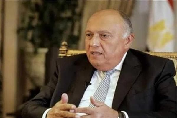 سامح شكري: مصر تحمي أمنها القومي