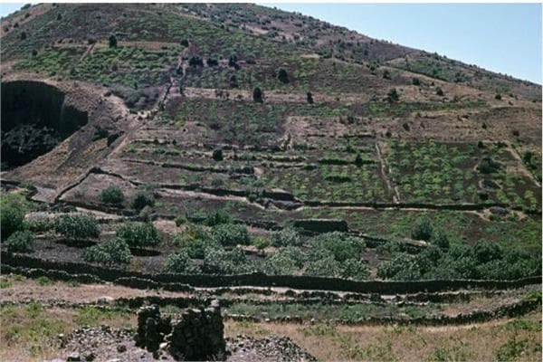 إسرائيل تتقدم في جبل العرب بالسورية