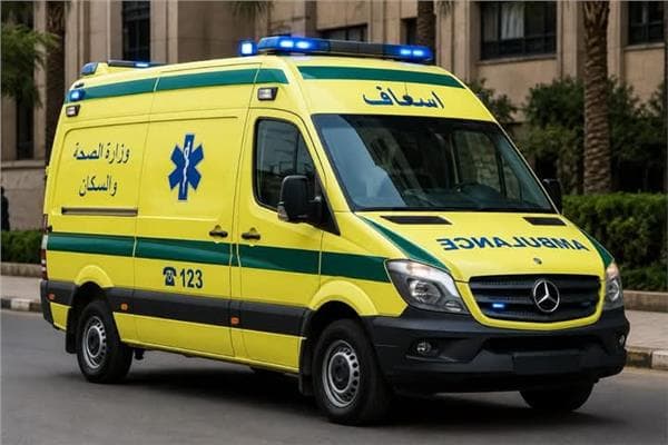 انقلاب ميكروباص يقضي على 7 في المحلة