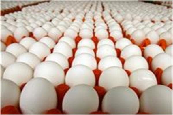 أسعار البيض 31 أكتوبر
