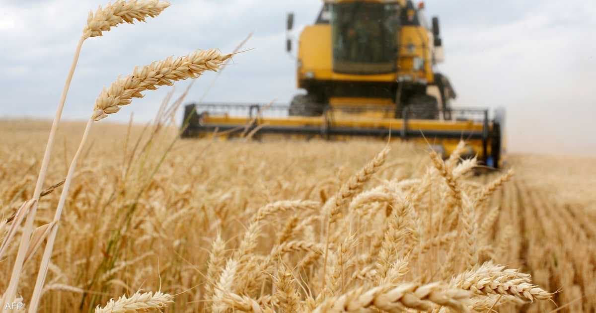 Al-Zaabi links fertilizer costs to wheat price rise