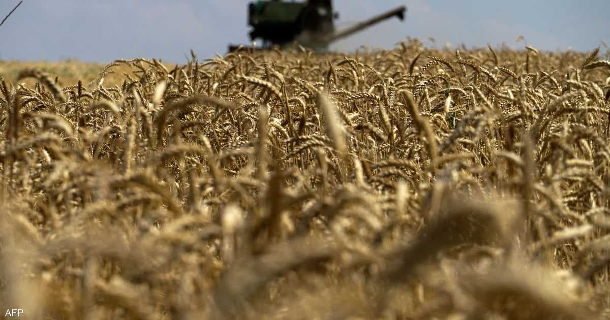 European wheat up 4% amid Russia tensions