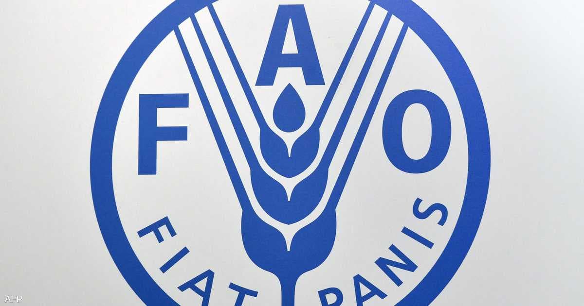 FAO: Food prices peak since 2022