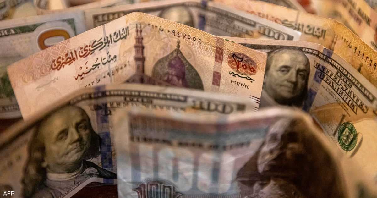Yaqoub highlights key sectors backing Egypt