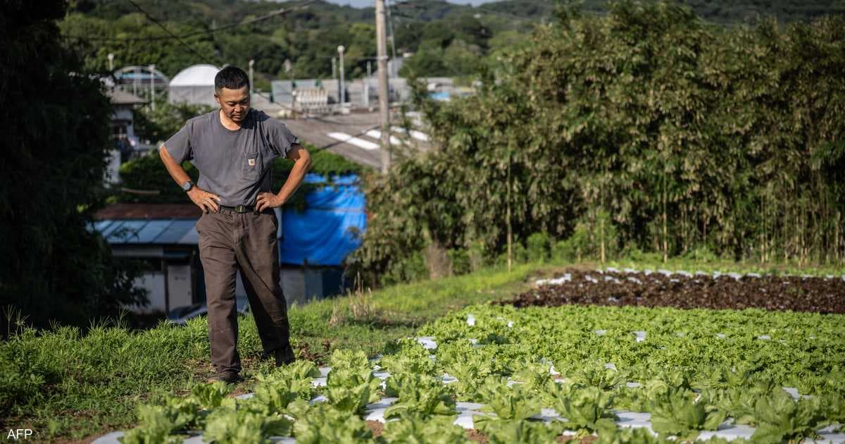 Japan faces higher fertilizer costs amid Strait of Hormuz closure