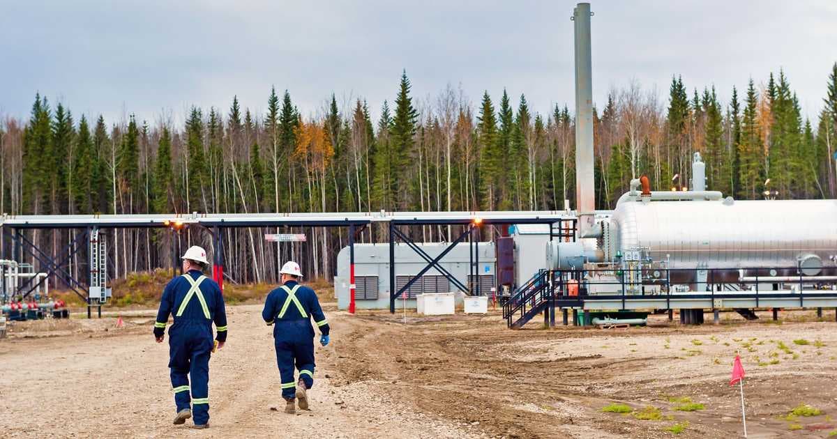 18-cent investment gains 6,500%