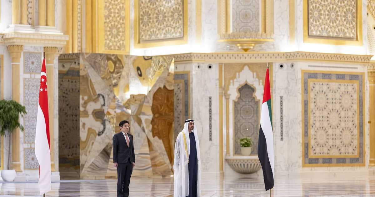 UAE and Singapore explore partnership growth